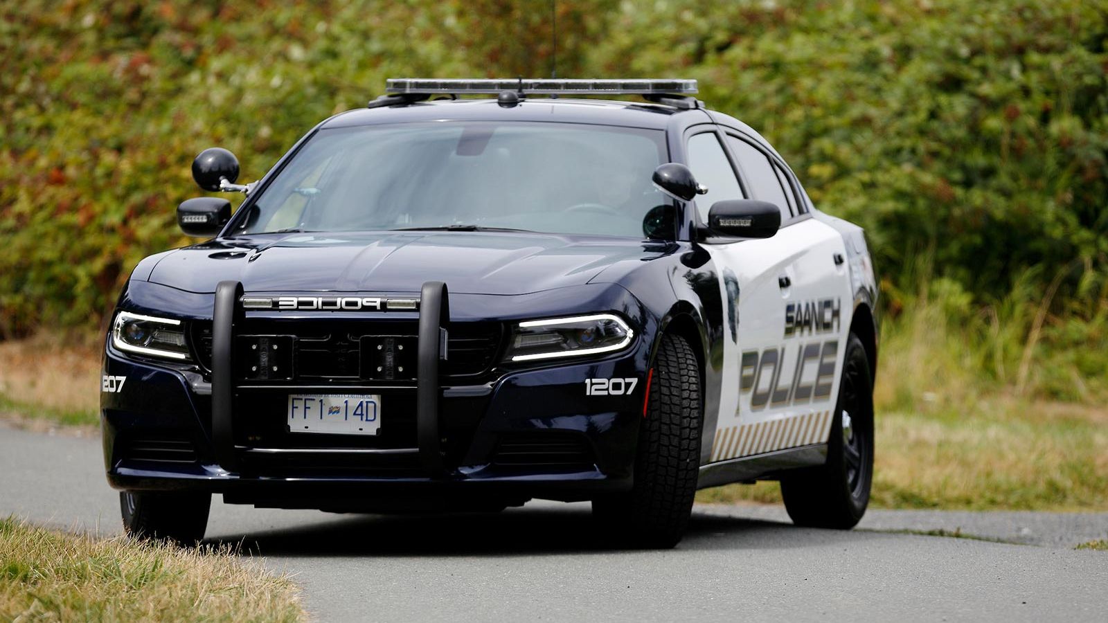 Law Enforcement ALPR